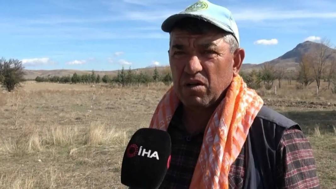 Flamingo Cenneti Karataş Gölü’nde Artık Hayvanlar Otluyor! 5